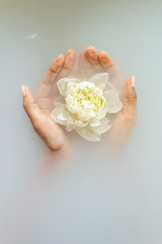 Commodore Coaching - Raise Your Vibe - Personal Development and Wellness Coach